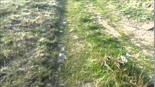 Merthyr Tydfil  The Past Cairn Y Bugail Megalithic Tomb [upl. by Irvine148]