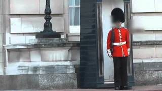 Buckingham Palace Royal Guard Points SA80 at tourist [upl. by Oralee821]