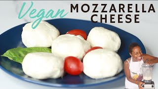 Vegan Mozzarella Cheese Recipe that Melts and Stretches  Tastes Delicious [upl. by Thornburg]