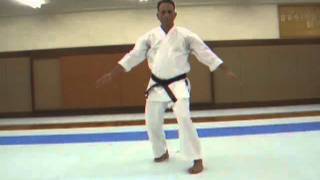 Israel Shotokan Eli Cohen Hangetsu Front view Slow [upl. by Aible]