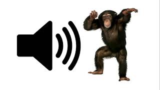 Monkey  Sound Effect [upl. by Marasco]