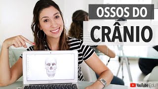 Ossos do crânio Sistema Esquelético 35  Anatomia etc [upl. by Sherwin]