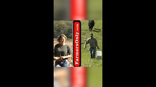 Farmers Only Iconic Commercials [upl. by Cutter998]