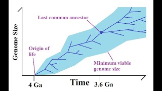 Debunking the quotMinimum Requirements for Something to Survivequot by Long Story Short [upl. by Hadeehuat]