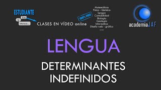 Los determinantes indefinidos  Lengua Española análisis morfológico  academia JAF [upl. by Akenit]