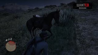 Red Dead Redemption 2 glitches [upl. by Kuo24]