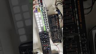 Messing with Behringer Syncussion SY1 synth synthesizer electronicmusic beatmaking [upl. by Cacia62]