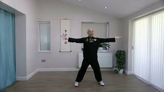 Health Qigong Daoyin Yangsheng Gong 12 Fa [upl. by Vite]