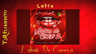 Labios De Cereza 2  T3R Elemento Video Lyrics [upl. by Sivi]