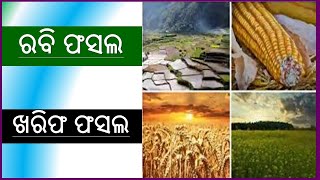 Rabi Crops and Kharif Crops Rabi CropsKharif Crops [upl. by Varian]