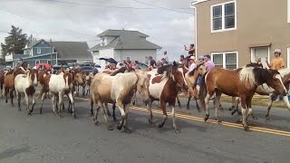 Chincoteague Island Pony Swim and Parade 🐎 [upl. by Yordan]