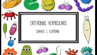 Enterobius Vermicularis [upl. by Nerrual]