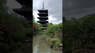 4 months in Asia  Tōji temple and pagoda Kyoto Japan [upl. by Aeli855]