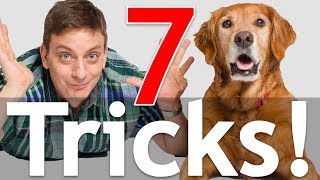 7 Dog Tricks in 5 Minutes [upl. by Manya251]