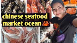 china seafood market ocean🦀🇨🇳go to ocean buying fresh sea foodRishivlogr1 [upl. by Oicul411]