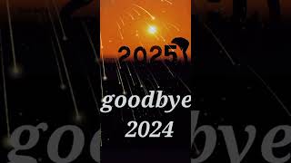 goodbye 2024 [upl. by Nanor340]