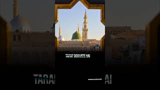 Naat Sharif By Sayyed Abdul Wasi shorts [upl. by Piegari]