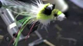 Tying a Dahlberg Diver  Part 4 [upl. by Mientao]