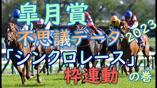 皐月賞 2023年 枠連動レースどす。リハビリ動画ですけんたどたどしいぞ気つけるんだ [upl. by Analak437]