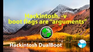 Hackintosh boot flags are quotargumentsquot v [upl. by Avilys]