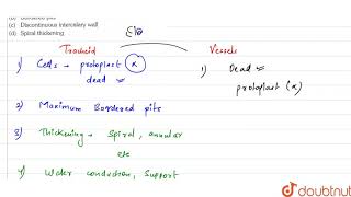 Tracheids differs from vassels in having [upl. by Pyotr]