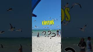 progreso yucatan mexico 2023 que hacer PLAYAS [upl. by Nwahshar]