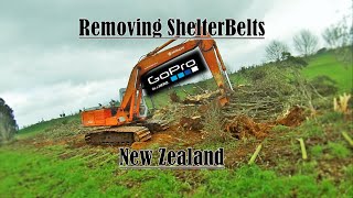 GoPro Removing Shelterbelts with Hitachi Ex150 amp Case IH cvx130 [upl. by Marie-Jeanne]