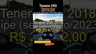 Tenere 250 Preços Valor Tabela Fipe Bom Vale a Pena Ter em 2024 tenere250 milhasadentro [upl. by Terrej633]