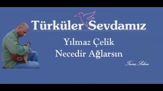 Yilmaz Celik  Necedir Aglarsin [upl. by Nelyahs]