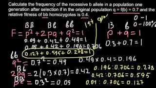 How to calculate allele frequency in the F2 generation [upl. by Imij723]