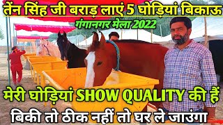 मेरी 5 घोड़ियां SHOW QUALITY की है बिकी तो ठीक नहीं तो घर ले जाउंगा।। Ganganagar horse Mela 2022।। [upl. by Gallenz]