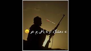 Pathan  pathan attitude status  pathan status  new pathan status  Pashto best TikTok Shayari [upl. by Siravrat]