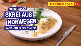 Kabeljau in Senfsauce  einfach lecker amp schnell selbstgemacht  Marco Polo TV [upl. by Gala]