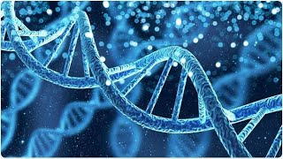 NUCLEIC ACIDS  BIOLOGY FOR ENGINEERS  SHASHANK KULKARNI [upl. by Cormac652]