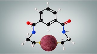 Animation of NBMI binding to mercury [upl. by Atenaz]