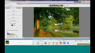 Picasa Basics Webinar [upl. by Prussian]