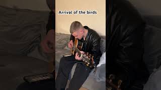 Arrival of the birds guitar [upl. by Aliled]