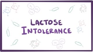 Lactose intolerance  causes symptoms diagnosis treatment amp pathology [upl. by Esilahs]