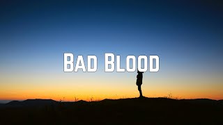 Taylor Swift  Bad Blood Lyrics [upl. by Yvon15]