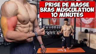 Prise de masse bras biceps triceps musculation programme [upl. by Labotsirc]