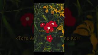 Tare amar amar mone kori amar hoa r hoilo na  New whatsapp status [upl. by Yngiram]