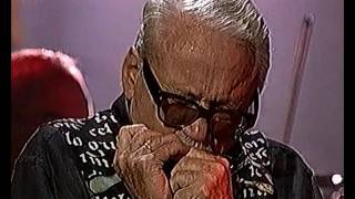 Toots Thielemans  Turks fruit  Cor amp Co 1997 [upl. by Navek]