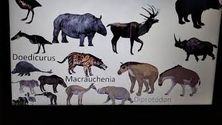 Cenozoic beasts size comparison [upl. by Ettesyl]