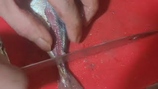 Amazing fish cleaning 😱 [upl. by Aianat]