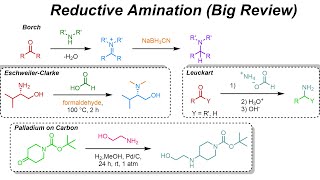 Reductive Amination amp Amide Synthesis IOC 40 [upl. by Lehcir]