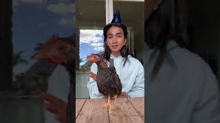 Bretman with the Chickens bretmanrock funny [upl. by Fronniah]