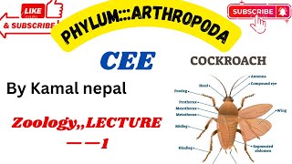 Phylum Arthropodalecture1cee best teacher with best notes and instructions [upl. by Wilkinson]