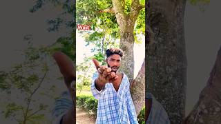 Khuc log bas bhukte rahite hai  🐕🤣 comedy shortsfeed [upl. by Marchall245]