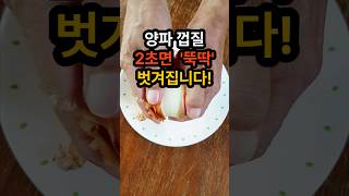 양파껍질 2초면 순 시간에 뚝딱 벗겨집니다 양파껍질 쉽게 까는 법 양파껍질까는법 양파껍질까기 [upl. by Nidak]