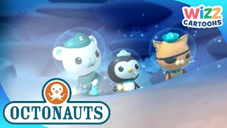 Octonauts  Delving into Deep Sea Mysteries  Compilation  Wizz Cartoons [upl. by Animahs]